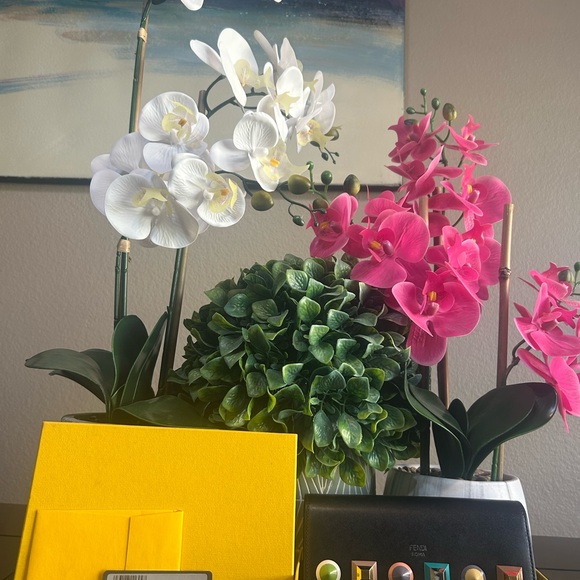 Fendi Roma Full Inclusion - Picture 16 of 17